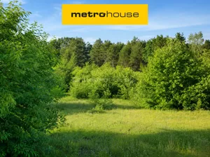 Działka 9 589,00 m², Jeruzal, Sprzedaż