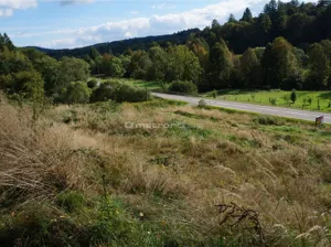 Działka 9 200,00 m², Jureczkowa, Sprzedaż