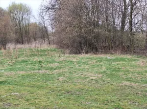 Działka 1 932,00 m², Kaleń-Towarzystwo, Sprzedaż