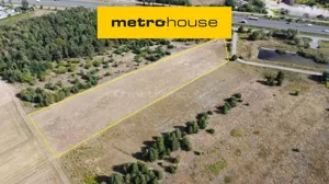 Działka 10 689,00 m², Karpin, Sprzedaż