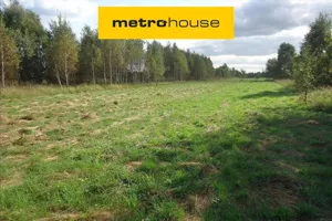 Działka 19 500,00 m², Kazimierzów, Sprzedaż