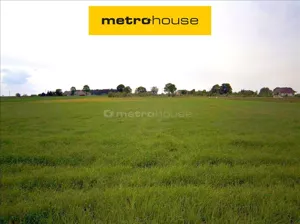Działka 20 300,00 m², Kobylniki, Sprzedaż