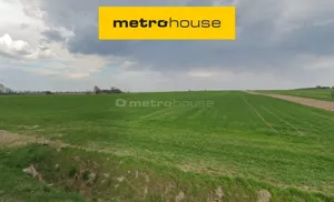 Działka 39 969,00 m², Kobylniki, Sprzedaż