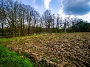 Działka 1 250,00 m², Kończyce Małe, Sprzedaż