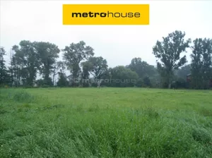 Działka 2 161,00 m², Koninko, Sprzedaż