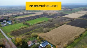 Działka 3 059,00 m², Krzewsk, Sprzedaż