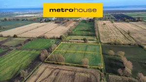 Działka 5 191,00 m², Krzewsk, Sprzedaż