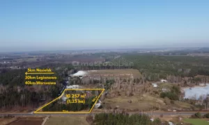 Działka 10 257,00 m², Krzyczki-Pieniążki, Sprzedaż
