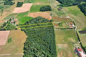 Działka 3 000,00 m², Kukowo, Sprzedaż