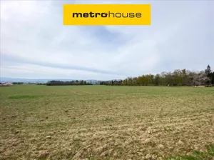 Działka 1 517,00 m², Ławica, Sprzedaż