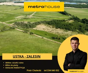 Działka 3 001,00 m², Lędowo, Sprzedaż