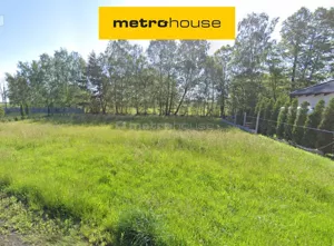 Działka 765,00 m², Czołowo, Leśna, Sprzedaż