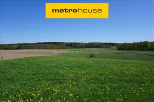 Działka 75 600,00 m², Leśniewo, Sprzedaż