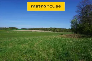 Działka 69 500,00 m², Leśniewo, Sprzedaż