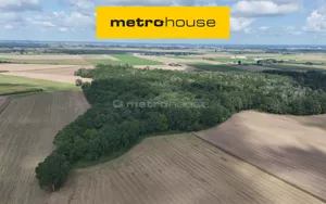 Działka 39 922,00 m², Leszno, Sprzedaż