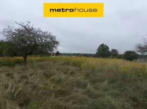 Działka 5 011,00 m², Niegowonice, Lipowa, Sprzedaż