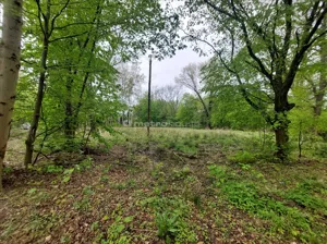 Działka 2 145,00 m², Łódź, Bałuty, Sprzedaż