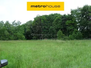 Działka 10 000,00 m², Łoś, Sprzedaż
