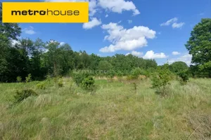 Działka 4 600,00 m², Lubicz Dolny, Sprzedaż