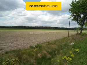 Działka 22 743,00 m², Luciny, Sprzedaż