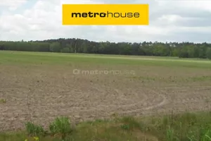 Działka 75 530,00 m², Luciny, Sprzedaż