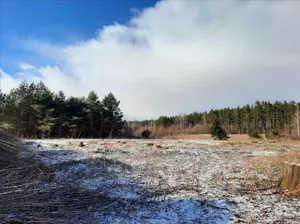 Działka 3 600,00 m², Lutek, Sprzedaż