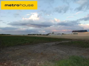 Działka 22 539,00 m², Macierzysz, Sprzedaż