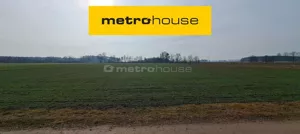 Działka 11 100,00 m², Malanów, Sprzedaż