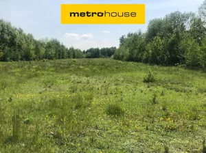 Działka 33 000,00 m², Malczyn, Sprzedaż