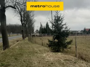 Działka 63 500,00 m², Miedniewice, Sprzedaż