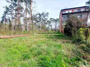 Działka 907,00 m², Międzyborów, Sprzedaż