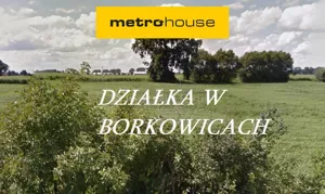 Działka 1 002,00 m², Mosina, Sprzedaż
