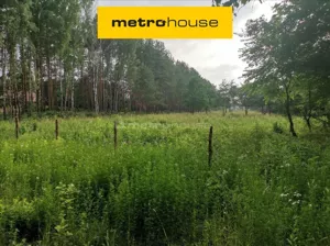 Działka 9 225,00 m², Mroków, Sprzedaż