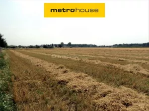 Działka 63 076,00 m², Mrowino, Sprzedaż