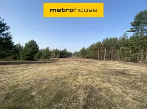 Działka 5 364,00 m², Rawa Mazowiecka, Mszczonowska, Sprzedaż