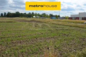 Działka 8 010,00 m², Jarosty, Nowa, Sprzedaż