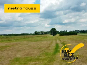 Działka 20 000,00 m², Nowy Konik, Sprzedaż