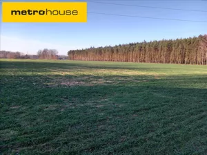Działka 60 100,00 m², Nowy Kozłów Pierwszy, Sprzedaż