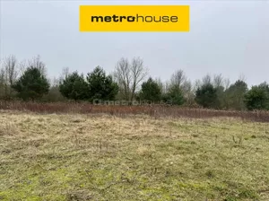 Działka 3 600,00 m², Nowy Prażmów, Sprzedaż