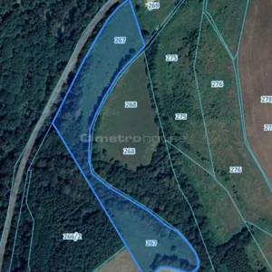Działka 20 752,00 m², Nowy Waliszów, Sprzedaż