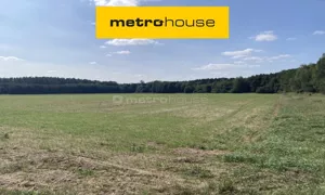 Działka 30 248,00 m², Ostrowina, Sprzedaż