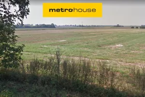 Działka 29 930,00 m², Owińska, Sprzedaż
