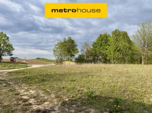 Działka 3 004,00 m², Rydzewo, Paprotecka, Sprzedaż