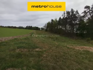 Działka 14 790,00 m², Dębnica Kaszubska, Parkowa, Sprzedaż