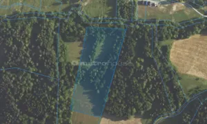 Działka 19 716,00 m², Paszowa, Sprzedaż
