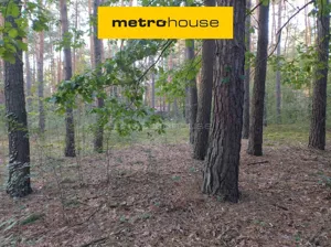 Działka 2 274,00 m², Popowo-Parcele, Sprzedaż