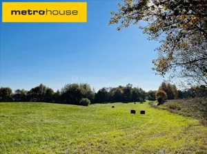 Działka 3 227,00 m², Prażmowo, Sprzedaż