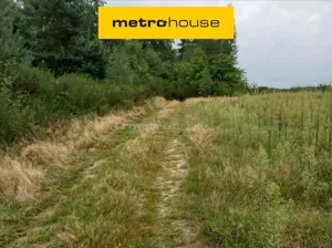 Działka 11 400,00 m², Promna-Kolonia, Sprzedaż