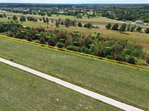 Działka 999,00 m², Augustówek, Prosta, Sprzedaż