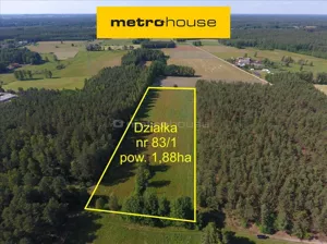 Działka 18 800,00 m², Prusowy Borek, Sprzedaż